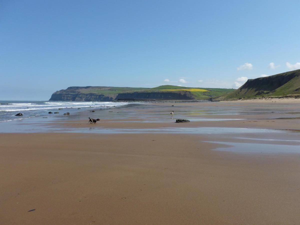 Griff Cottage, Skinningrove エクステリア 写真