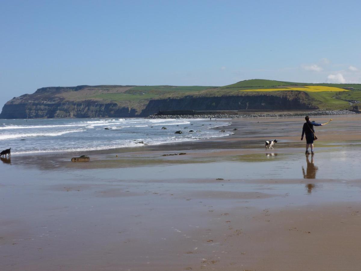 Griff Cottage, Skinningrove エクステリア 写真